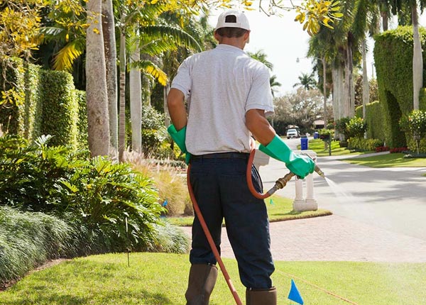 About Ty Ty GA Pest Control Pros